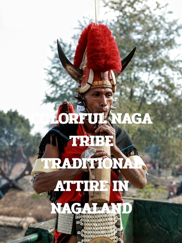NAGALAND TRIP