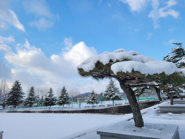🌲 남원 여행가이드 ✨ 남원 만인의총