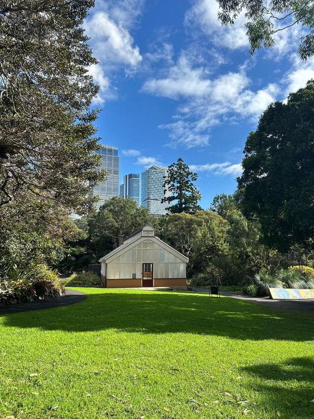 Breath of Fresh Air at Sydney’s Royal Botanical Gardens