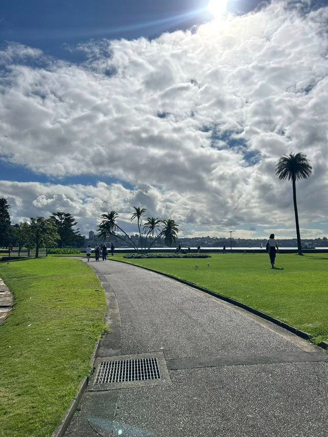 Breath of Fresh Air at Sydney’s Royal Botanical Gardens