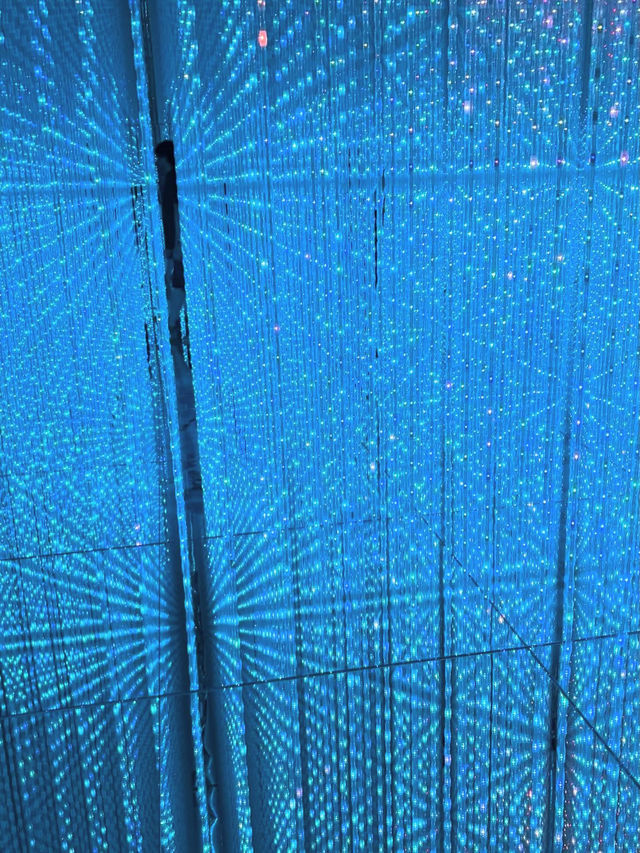 🎨 รีวิว MORI Building DIGITAL ART MUSEUM: teamLab