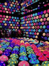 🎨 รีวิว MORI Building DIGITAL ART MUSEUM: teamLab