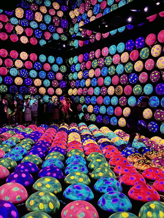 🎨 รีวิว MORI Building DIGITAL ART MUSEUM: teamLab