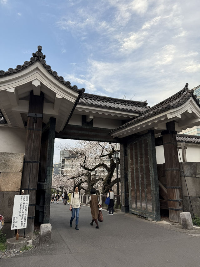 2025.03.28 櫻花季東京獨旅五天四夜行程 p6 第四天行程大公開(5.17:30千鳥淵（千鳥ヶ淵）)