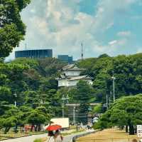 Secrets of Kokyo Gaien National Garden: Tokyo’s Royal Past Revealed 🇯🇵🪨