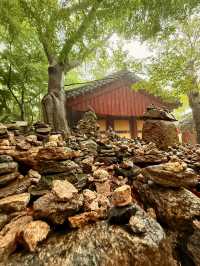 慶州｜金豬傳說佛國寺 快來找藏在牌匾後帶來財運的小豬
