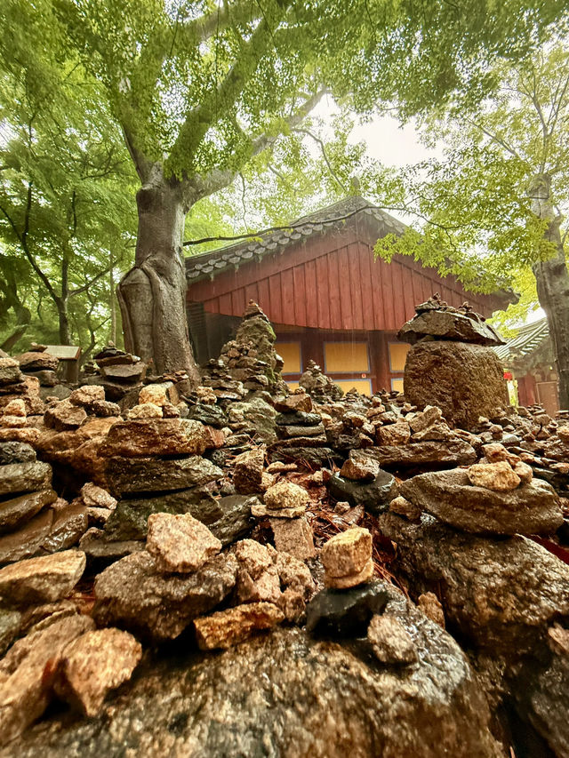 慶州｜金豬傳說佛國寺 快來找藏在牌匾後帶來財運的小豬