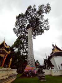วัดเจดีย์หลวงวรวิหาร(Wat Chedi Luang Worawihan)🙏