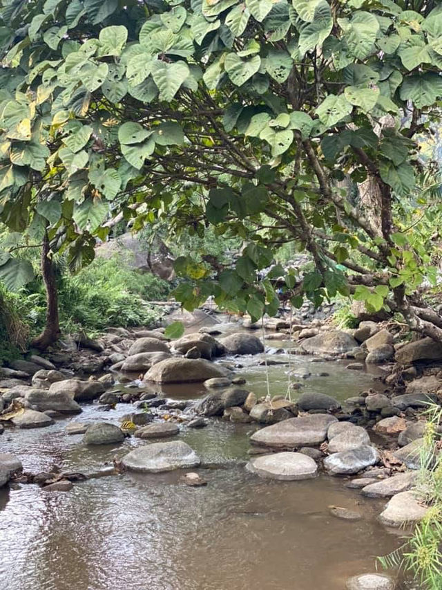 Baan Tharn Klom 🌲