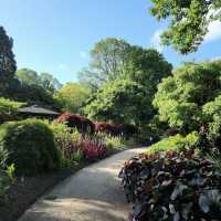 Dunedin Botanic Garden