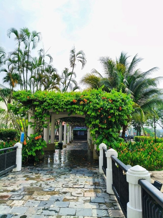 Discover Relax Hotel 🏨 Rainy Green Escape🌴