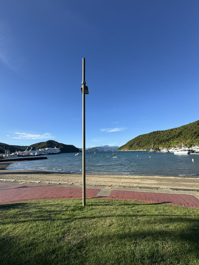 【ニュージーランド・ピクトン】海と自然に癒される「ピクトン記念公園」🌊🌳