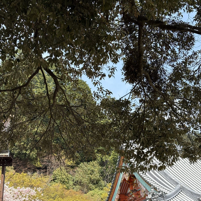 🎋✨ Katsuo-ji Temple – วัดดารุมะ (勝尾寺)