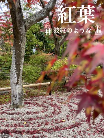 枯山水の庭に波紋のように広がる紅葉 | Trip.com 桜川市
