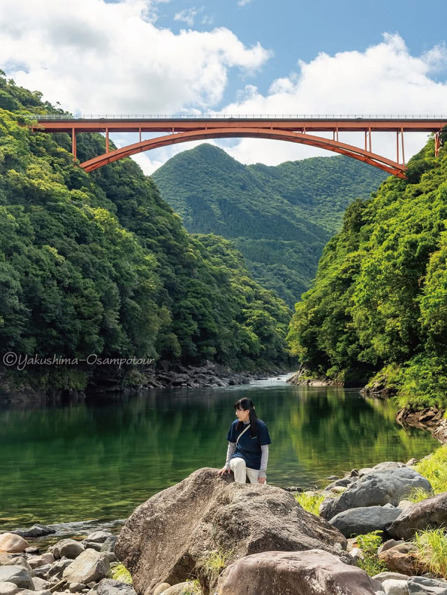 Exploring Yakushima – Where Ancient Forests Whisper Peace 🌿 