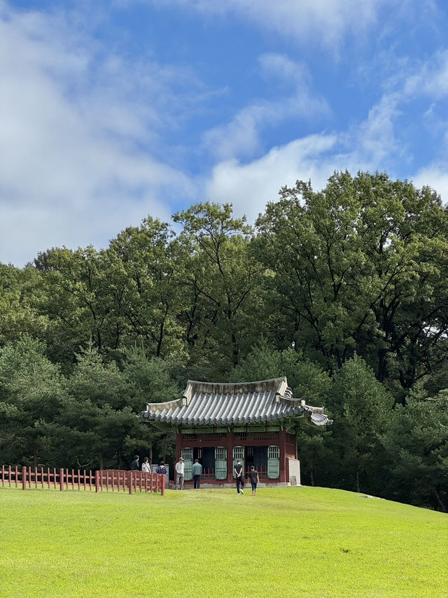 🍃 고요함 속에 깃든 조선의 품격, 화성 융건릉 ⌛️