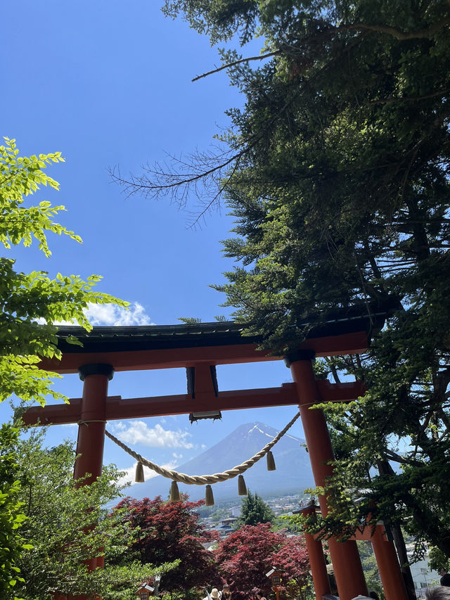 【秋日限定】淺間公園的夢幻畫面