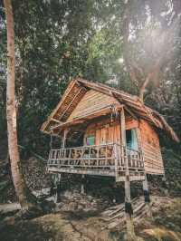 เกาะหวายพาราไดซ์