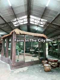 Farm In The City: A Must-Visit Family Adventure with Diverse Animals