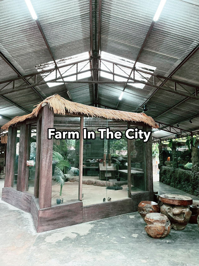 Farm In The City: A Must-Visit Family Adventure with Diverse Animals