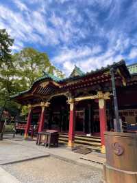 真っ赤な鳥居と黄色のイチョウのコントラストが絶景