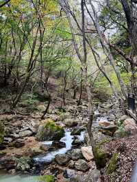 용문산 산책길🌿