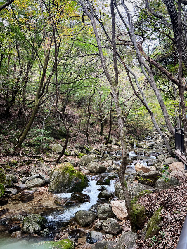 용문산 산책길🌿