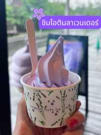 🪻วางแผน one day trip Asahikawa-biei-furano🪻