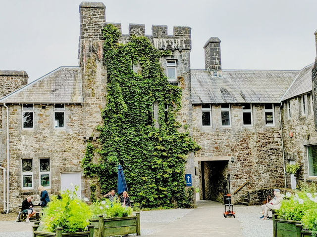 Bloom & Stillness: A Solo Escape to Picton Castle Gardens