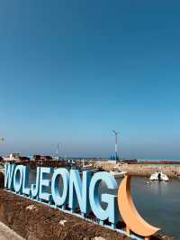 Chill at Woljeongri✨  