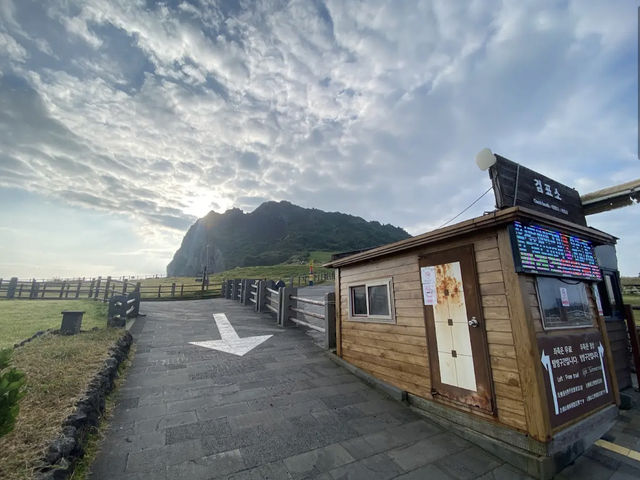 성산일출봉 유채꽃과 감성 카페 코스 (한국어 작성)