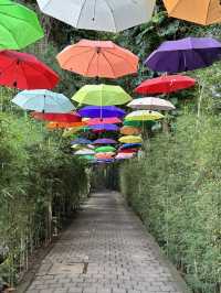 MUST TO TRY SWING IN BALI