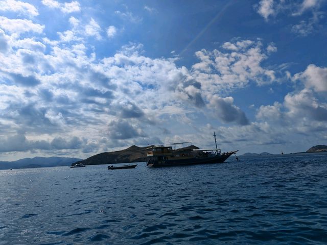 Komodo Wonders🌿 One Day Trip