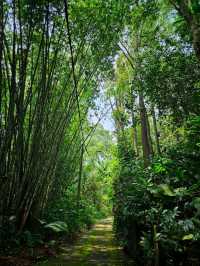 Unplug & Unwind: My Open-Air Stay in Hulu Langat