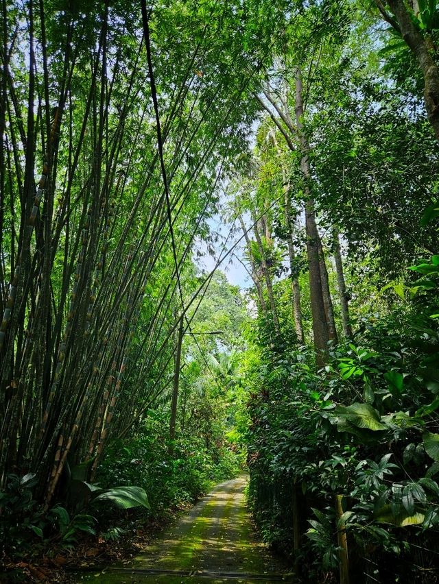 Unplug & Unwind: My Open-Air Stay in Hulu Langat Unplug & Unwind: My Open-Air Stay in Hulu Langat