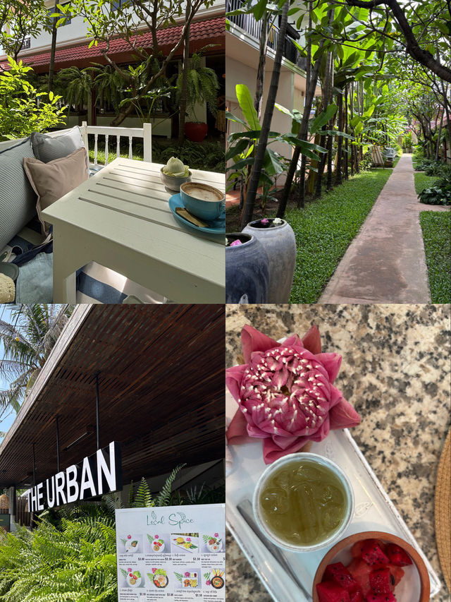 Days in Siem Reap 🇰🇭