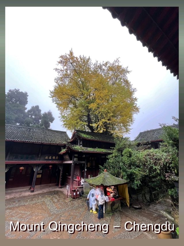 Mount Qingcheng @ Chengdu