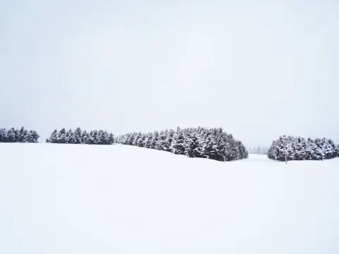 獨特的冬季札幌3日4夜旅行行程