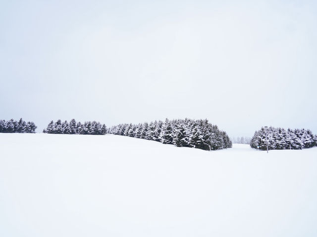 ❄️이색적인 겨울 삿포로 3박 4일 여행일정