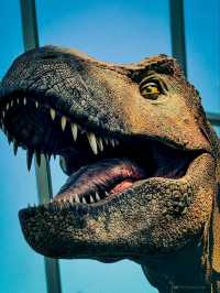 “Prehistoric Light Odyssey at Gardens by the Bay”