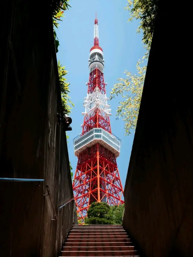 東京永恆的地標閃耀光芒
