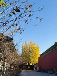 北京之旅:頤和園與故宮的歷史與靜美