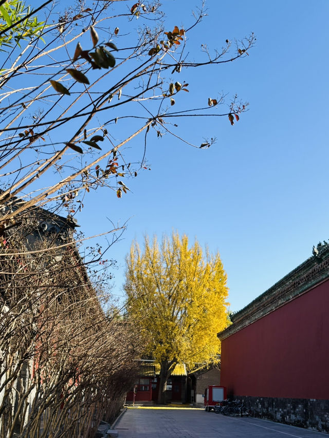 北京之旅:頤和園與故宮的歷史與靜美 北京之旅:頤和園與故宮的歷史與靜美