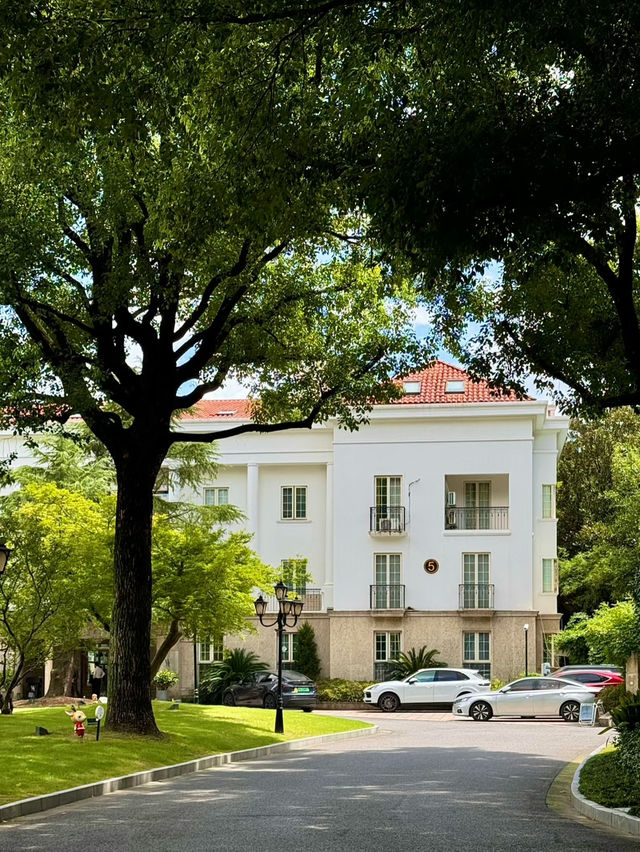 Shanghai After Dark: Ultimate Bund-Strolling Adventure 🌃✨