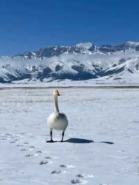 ❄️ “The Frozen Beauty of Heaven’s Lake” ❄️