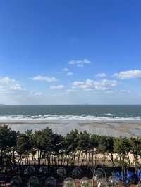 🇰🇷 리솜 아일랜드에서 즐기는 겨울 안면도 여행 가이드