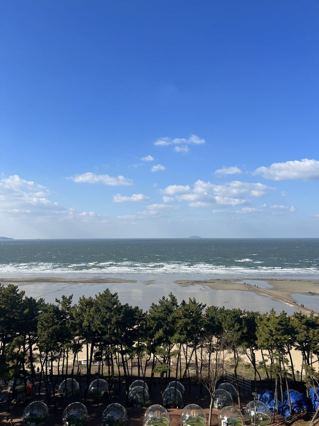 🇰🇷 리솜 아일랜드에서 즐기는 겨울 안면도 여행 가이드 🇰🇷 리솜 아일랜드에서 즐기는 겨울 안면도 여행 가이드