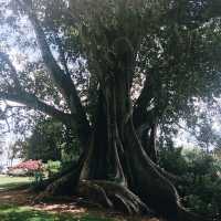 เดินชิลที่ Monte Cecilia Park สูดอากาศดีเต็มปอด