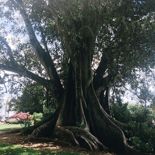 เดินชิลที่ Monte Cecilia Park สูดอากาศดีเต็มปอด