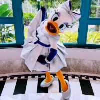 My Magical Stay at Disney Hollywood Hotel ✨🏰